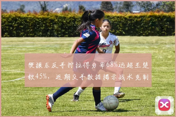 樊振东反手拧拉得分率68%远超王楚钦45%，近期交手数据揭示战术克制